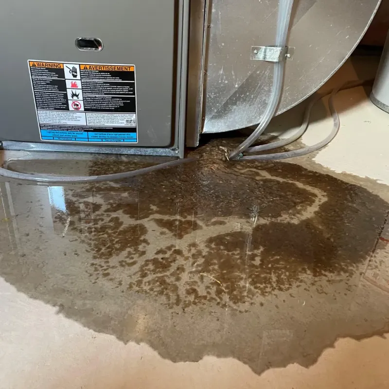 Appliance Leak Cleanup in Hayden, AL